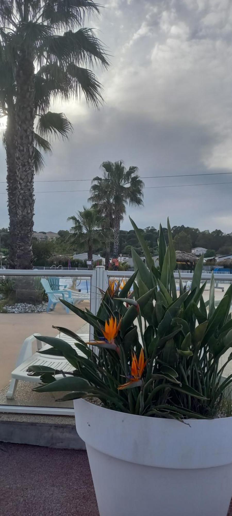 Azur072 Camping *